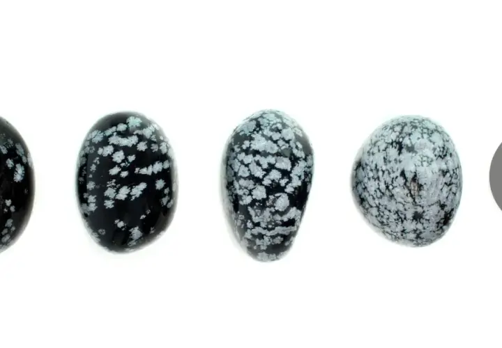 Vier polierte Steine aus schneeflockenobsidian, die wie kleine Eier geformt sind, liegen nebeneinander. Ein grauer Kreis rechts daneben.