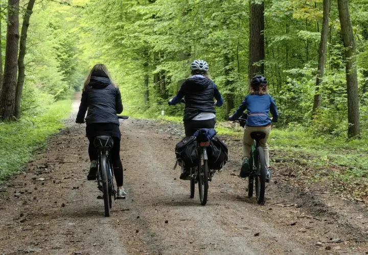 Trzy osoby jadą rowerami po leśnej ścieżce. Mimo pięknej pogody, widać znak zakaz jazdy rowerem.