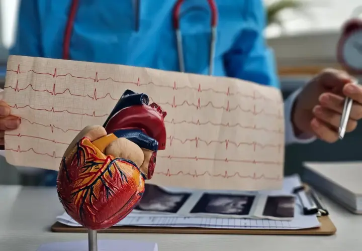 Model serca i EKG na stole lekarskim. W tle lekarz w niebieskim fartuchu, stetoskop i dokumentacja medyczna. To obrazuje pracę z biosotal.