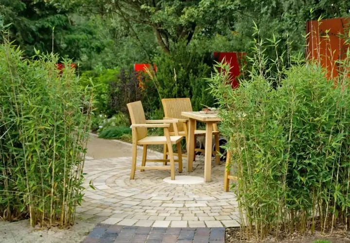 Ein lauschiges Plätzchen im Garten, umgeben von üppigem Bambus. Holzmöbel laden zum Verweilen ein.