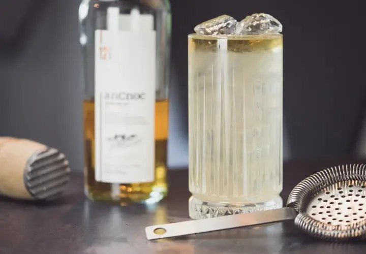 Ile kalorii ma gin z tonikiem? Poznaj prawdę o popularnym drinku