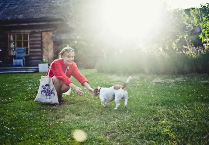 Frau übt mit ihrem Hund Hunde Kommandos im Garten. Sonnenschein und ein gemütliches Haus im Hintergrund.