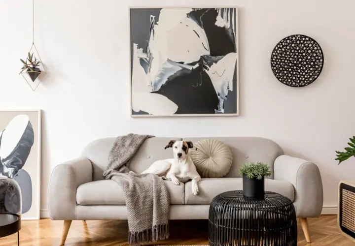 A dog lounges on a sofa, inspiring ideas on how to choose art for your home. Abstract art adorns the wall.