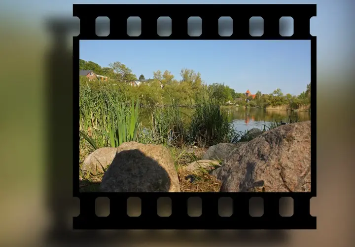 Obraz na kliszy fotograficznej: spokojny widok na jezioro z trzcinami, kamieniami i domami w tle.
