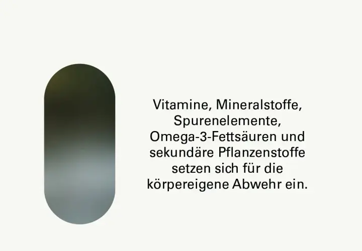 Vitamine fürs Immunsystem: Stärken Sie Ihre Abwehrkräfte effektiv