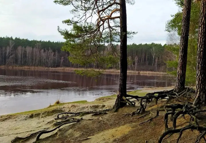 Moszczonne - ukryta wieś z pięknym jeziorem i lokalnymi atrakcjami