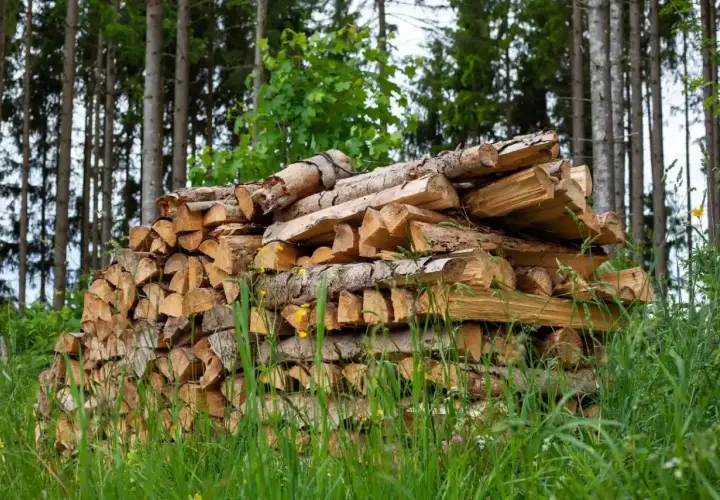 Ein großer Stapel gespaltenes Brennholz liegt im Wald. Die Preise für Brennholz sind aktuell hoch.