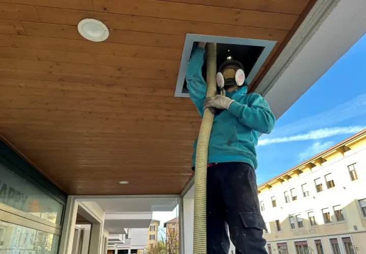 Operaio con maschera e guanti inserisce tubo in un'apertura del controsoffitto isolante termico in legno.