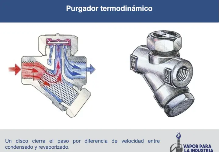 Diagrama de un purgador de condensados termodinámico, mostrando su funcionamiento interno y una vista externa.