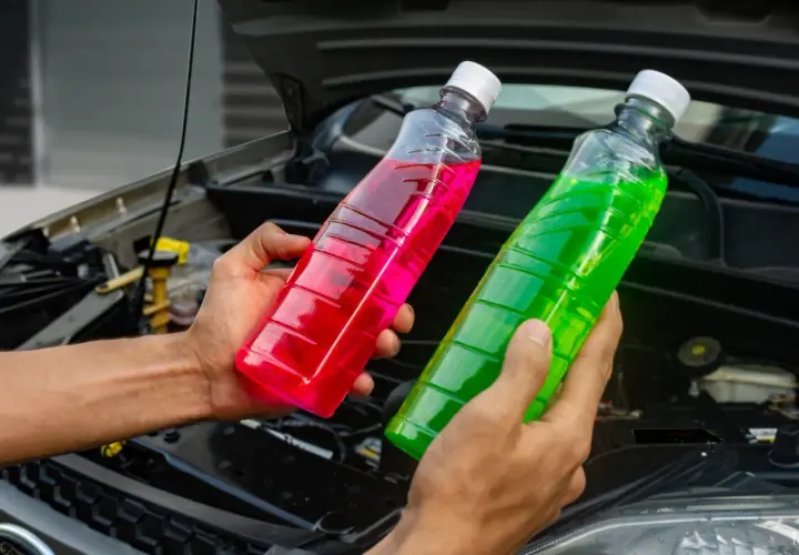 Manos sostienen botellas con líquido refrigerante de colores, rosa y verde, para el agua de motor coche.