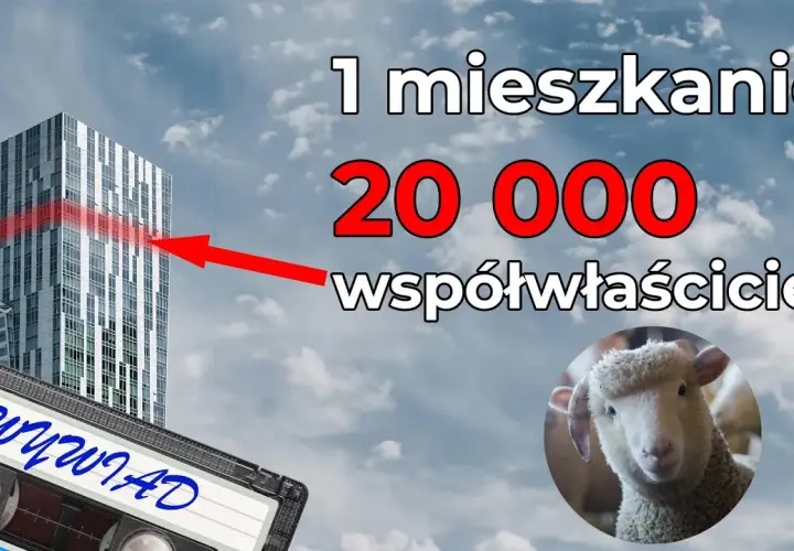 Rafał Zaorski: geniusz czy bankrutujący Midas? Epicki flip to błysk kapitalizmu lub gruba operacja strzyżenia owiec [ANALIZA]
