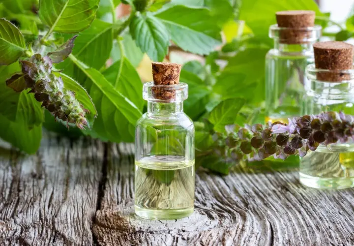 Piccole boccette di olio essenziale di basilico santo su un tavolo di legno, circondate da foglie verdi e fiori viola.