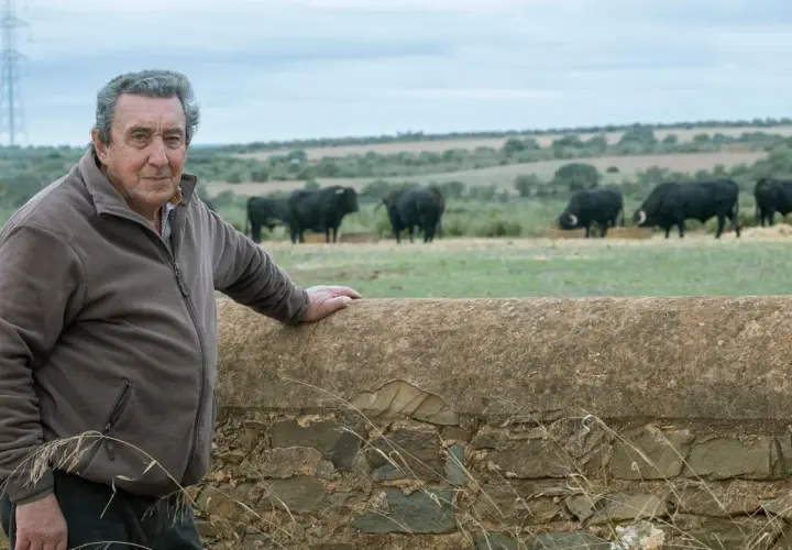 Fernando Cuadri, a man of considerable edad, oversees his herd of black bulls in a pastoral landscape.