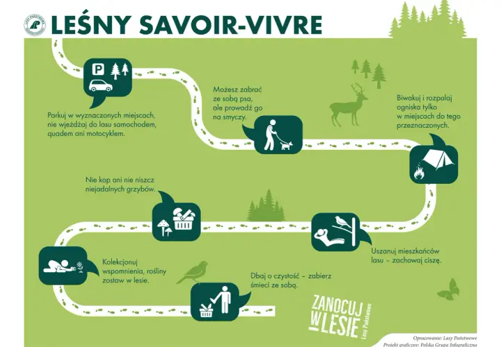 Poradnik "Leśny savoir-vivre" pokazuje zasady zachowania w lesie, w tym jak przygotować się na nocowanie w lesie.