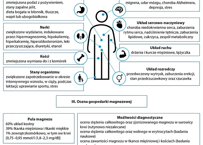 Magnez na nerwicę: Ile, jaki i jak uspokoić nerwy? Poradnik