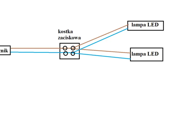 Schemat pokazuje, jak podłączyć dwie lampy LED do jednego kabla za pomocą kostki zaciskowej i włącznika.