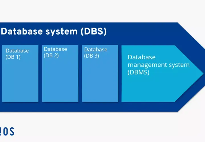 Schema di un sistema di database (DBS) con più database (DB 1, DB 2, DB 3) e un sistema di gestione database (DBMS) che stabilisce una relazione univoca.