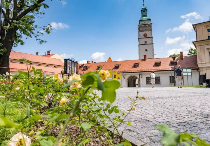 Kwiaty na pierwszym planie, w tle wieża ratuszowa i zabudowania. Idealne miejsce na spacer po trasie żywiec.