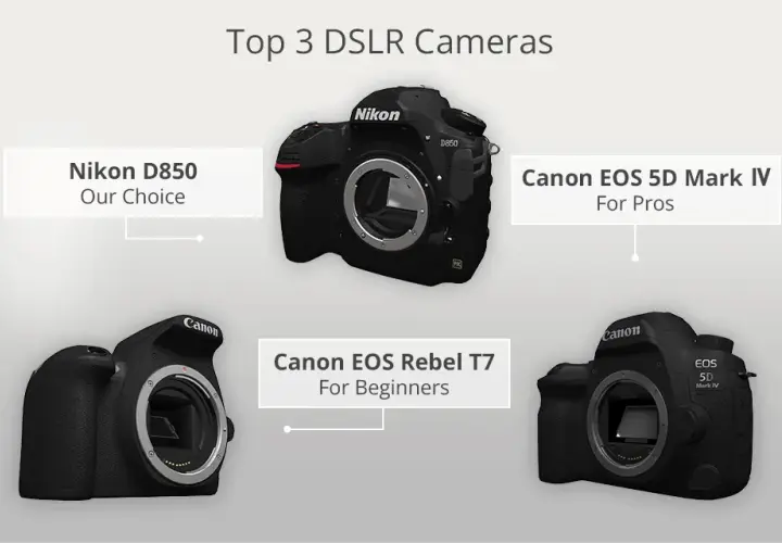 Wybór lustrzanki Canon w 2026: Czy ma sens? Modele i obiektywy.