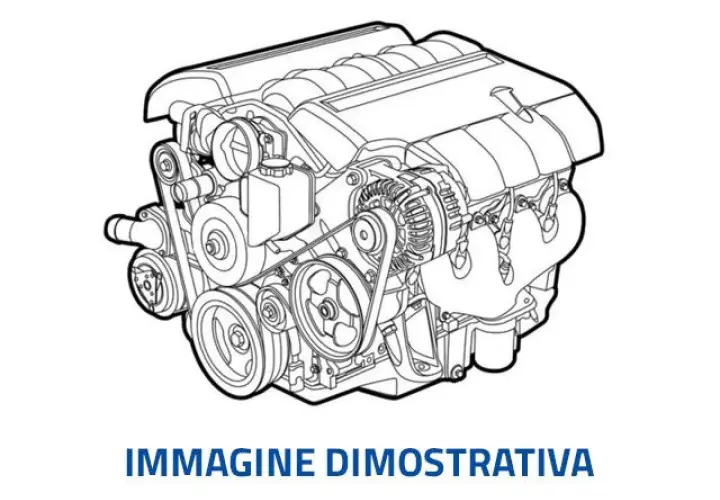 Schema motore Ford Fiesta 1.4 TDCI: disegno tecnico di un motore, con dettagli su cinghie, pulegge e alternatore.