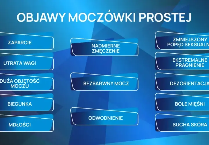 Objawy moczówki prostej u psa: zaparcie, utrata wagi, duża objętość moczu, biegunka, mdłości, nadmierne zmęczenie, bezbarwny mocz, odwodnienie, zmniejszony popęd seksualny, ekstremalne pragnienie, dezorientacja, bóle mięśni, sucha skóra.