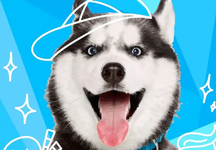 Wesoły pies podobny do husky w czapce, z wywieszonym językiem, na niebieskim tle z białymi gwiazdkami.