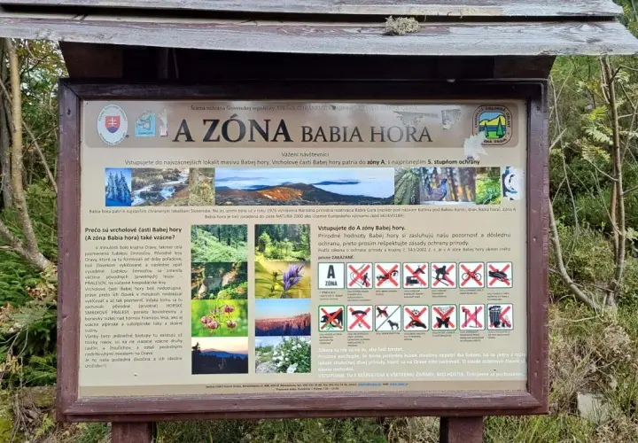 Tablica informacyjna o strefie Babia Góra z psem, opisująca zasady ochrony przyrody.