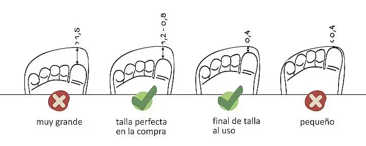 ¿Zapato Feroz adulto? Descubre cómo elegir tu talla y beneficios