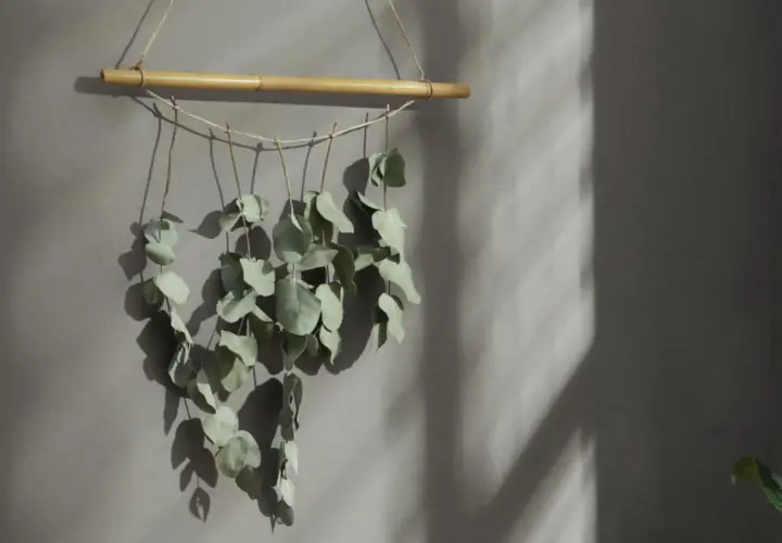 Ein hängender Zweig mit getrocknetem Eukalyptus, befestigt an einem Bambusstock, wirft Schatten an eine graue Wand.