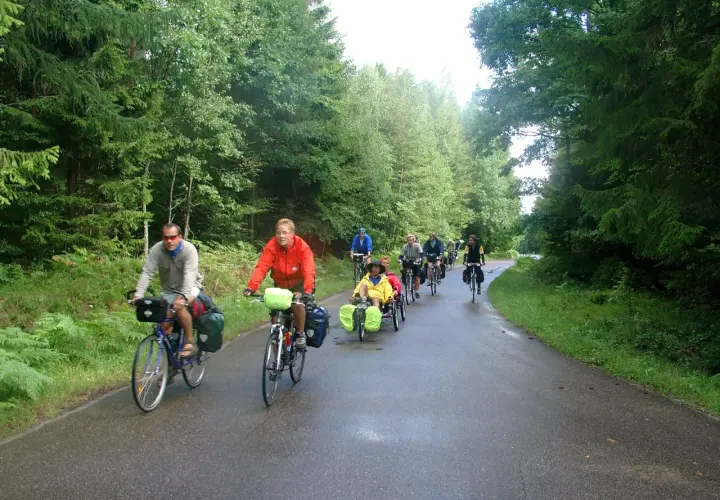 Grupa rowerzystów na malowniczej trasie w Sierakowicach, jadących przez las.