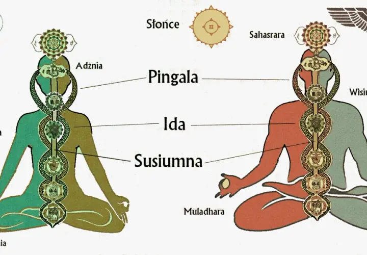 Poza 7 czakr: Kundalini i mistrzostwo energii dla zaawansowanych