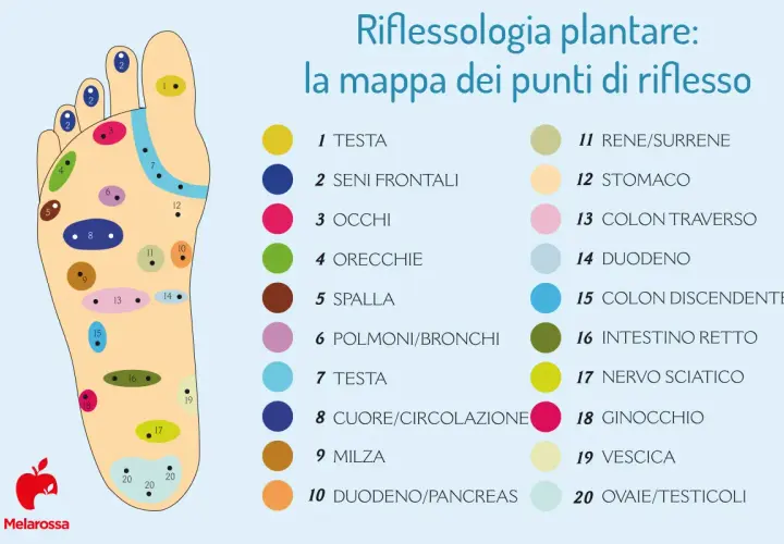 Mappa dei punti riflessi del piede. Scopri i benefici del massaggio plantare per testa, occhi, stomaco e altri organi.