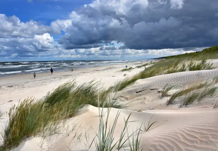 Piaszczyste wydmy porośnięte trawami na Mierzei Wiślanej. W oddali widać morze i kilka osób spacerujących po plaży.