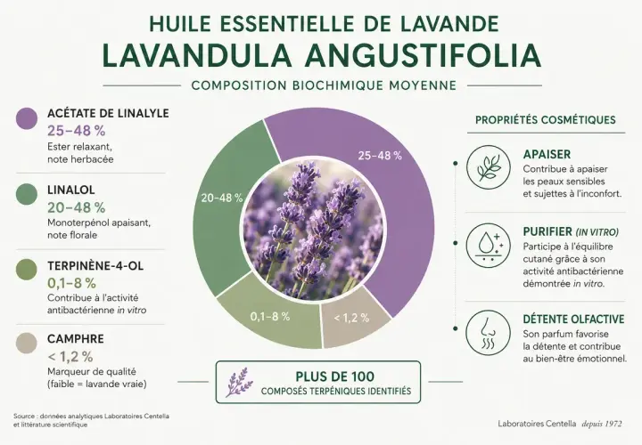 Infographie sur l'huile essentielle de lavande, détaillant sa composition et ses bienfaits : apaisant, purifiant et relaxant.