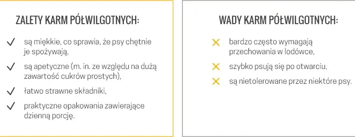 Sucha czy mokra karma dla psa? Porównanie, wady i zalety.