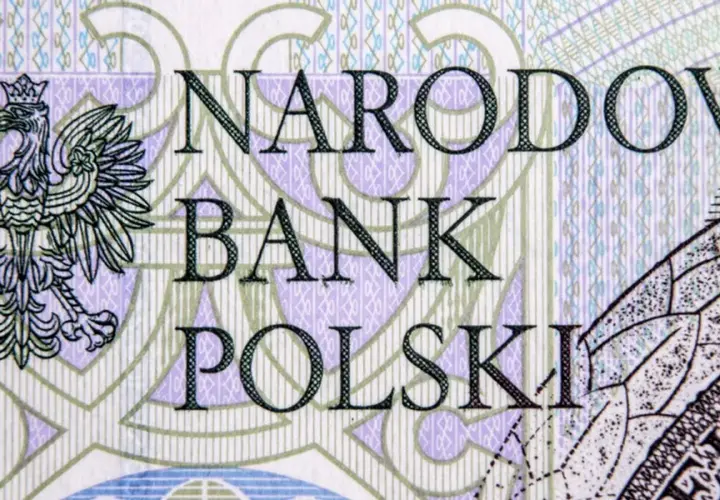 Fixing NBP - co to jest i jak wpływa na kurs walutowy?