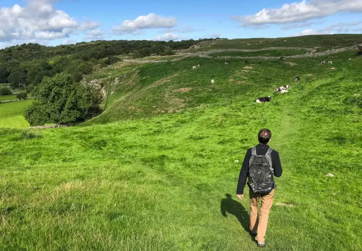 A lone hiker walks along the Dales Way, a path winding through a lush green valley dotted with grazing cows under a bright blue sky.