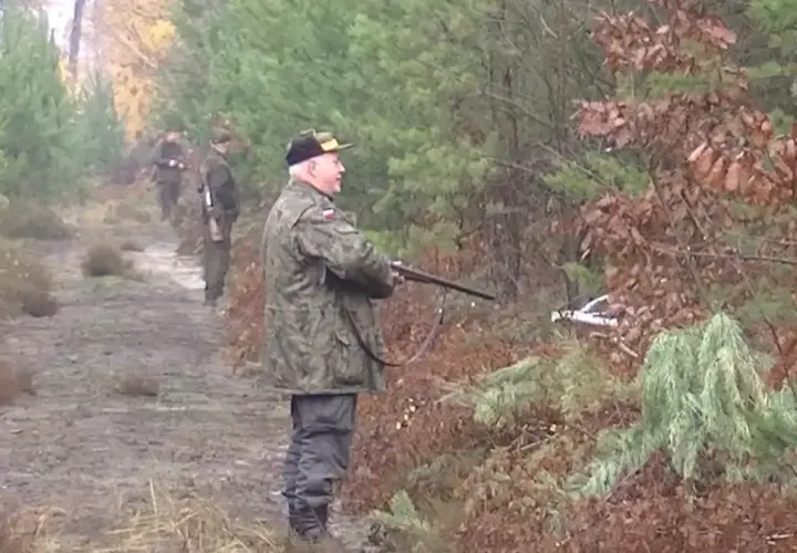 Myśliwy w kamuflażu z bronią wchodzi do lasu. Czy myśliwy może wjechać do lasu? Tak, jeśli teren na to pozwala.