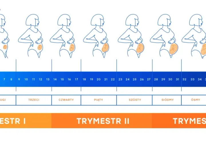 Ile tygodni trwa ciąża? Jak ją liczyć i kiedy poród?