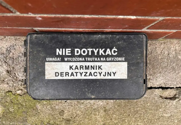 Kto odpowiada za deratyzację w bloku? Prawo i Twój plan działania.
