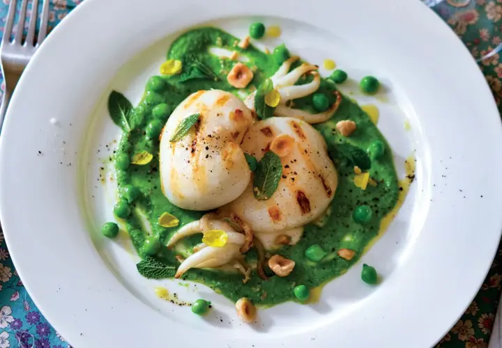 Deliziosi seppie alla griglia su un letto di crema di piselli, guarnite con menta fresca e nocciole tostate.