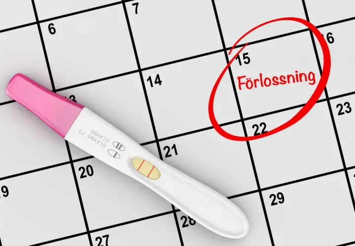 Graviditetstest visar positivt. Kalendern visar att förlossningen är planerad om några trimester veckor, markerad med en röd cirkel.