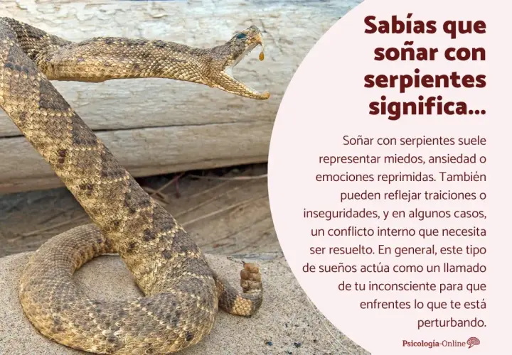 Una serpiente de cascabel con la boca abierta, lista para morder. Soñar que te muerde una serpiente puede indicar miedos o conflictos internos.