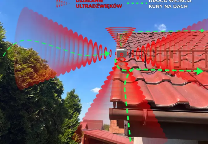 Ultradźwięki odstraszają kuny, blokując ich drogę wejścia na dach. Urządzenie emituje fale dźwiękowe, które są nieprzyjemne dla zwierząt.