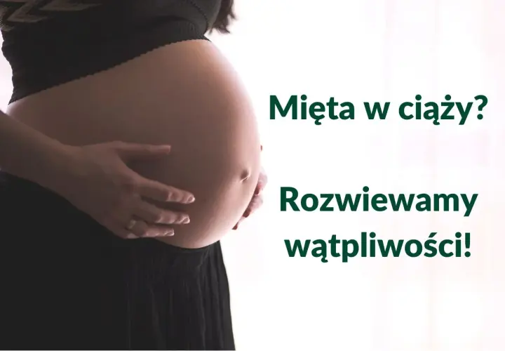 Brzuch kobiety w ciąży, z dłońmi delikatnie go obejmującymi. Obok tekst: "Mięta w ciąży? Rozwiewamy wątpliwości!".