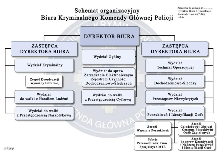 Schemat Biura Kryminalnego Policji: zajmuje się walką z handlem ludźmi, przestępczością narkotykową, cyfrową, poszukiwaniem osób i identyfikacją.
