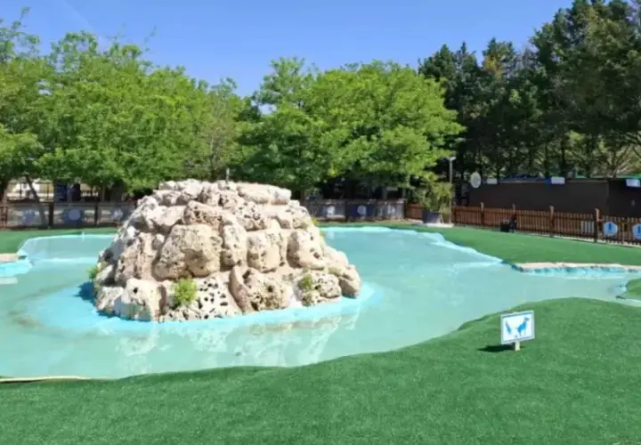 Un aquapark canino con perros al agua, listo para la diversión. Un estanque artificial con rocas y césped artificial para que los perros disfruten.
