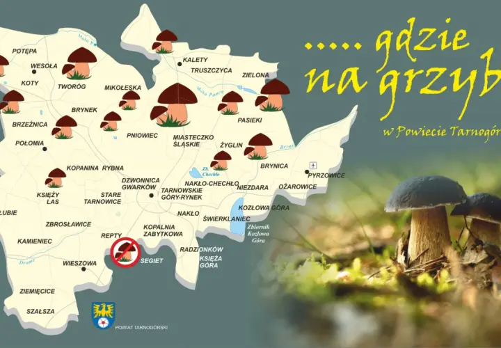 Mapa z zaznaczonymi miejscami na grzyby w Powiecie Tarnogórskim i zdjęciem borowików.