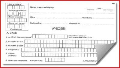 Jak zdobyć profil kierowcy - uniknij najczęstszych błędów i pułapek