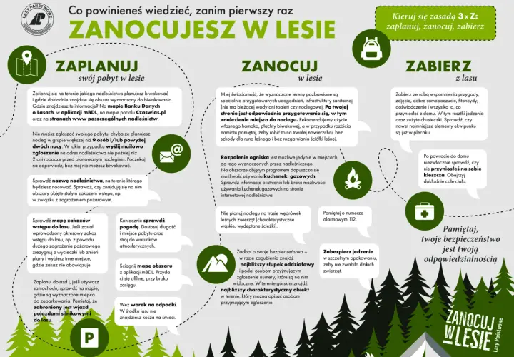 Jak rozpalić ognisko w lesie? Legalnie i bezpiecznie! (Poradnik)